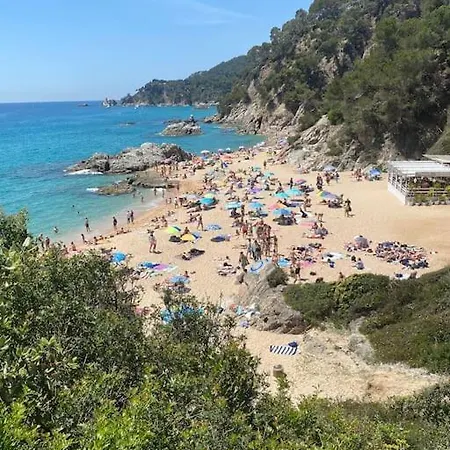 Loft, アパート リョレート・デ・マル