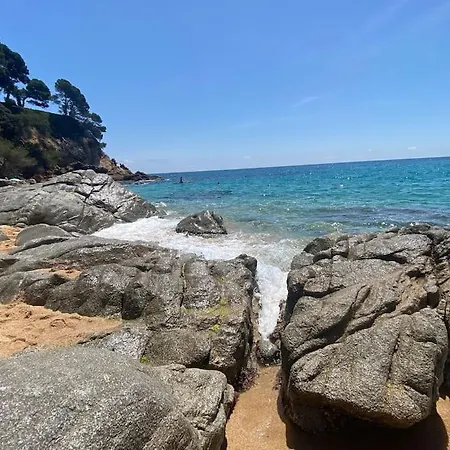 Loft, * Lloret de Mar