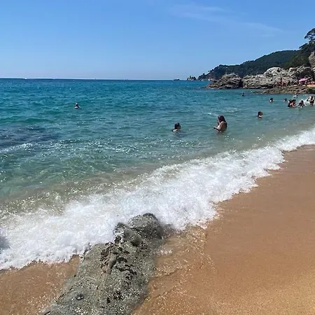 Loft, Lloret de Mar