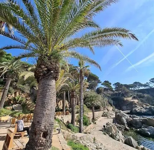 Appartement Loft, Lloret de Mar